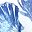 French Blue Seashell