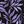 Black Tossed Leaves
