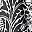 Black White Floral