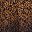 Black Gold Ombre Lace