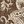 Brown Royal Paisley