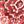 Classic Red Medallion