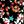 Black Multi Ditsy