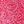 Pink Paisley