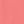 Sweet Coral