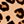Classic Leopard