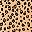 Classic Leopard