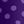 Plum Burst Dot
