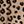 Classic Leopard