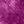 Berry Pink