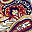 Multi Paisley