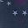 Navy Dancing Stars