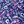 Navy Paisley