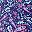 Navy Paisley