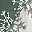 Pine Snowflake