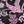 Black Pink Paisley