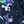 Navy Floral