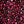 Pink Confetti Dot
