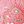 Sweet Coral Medallion