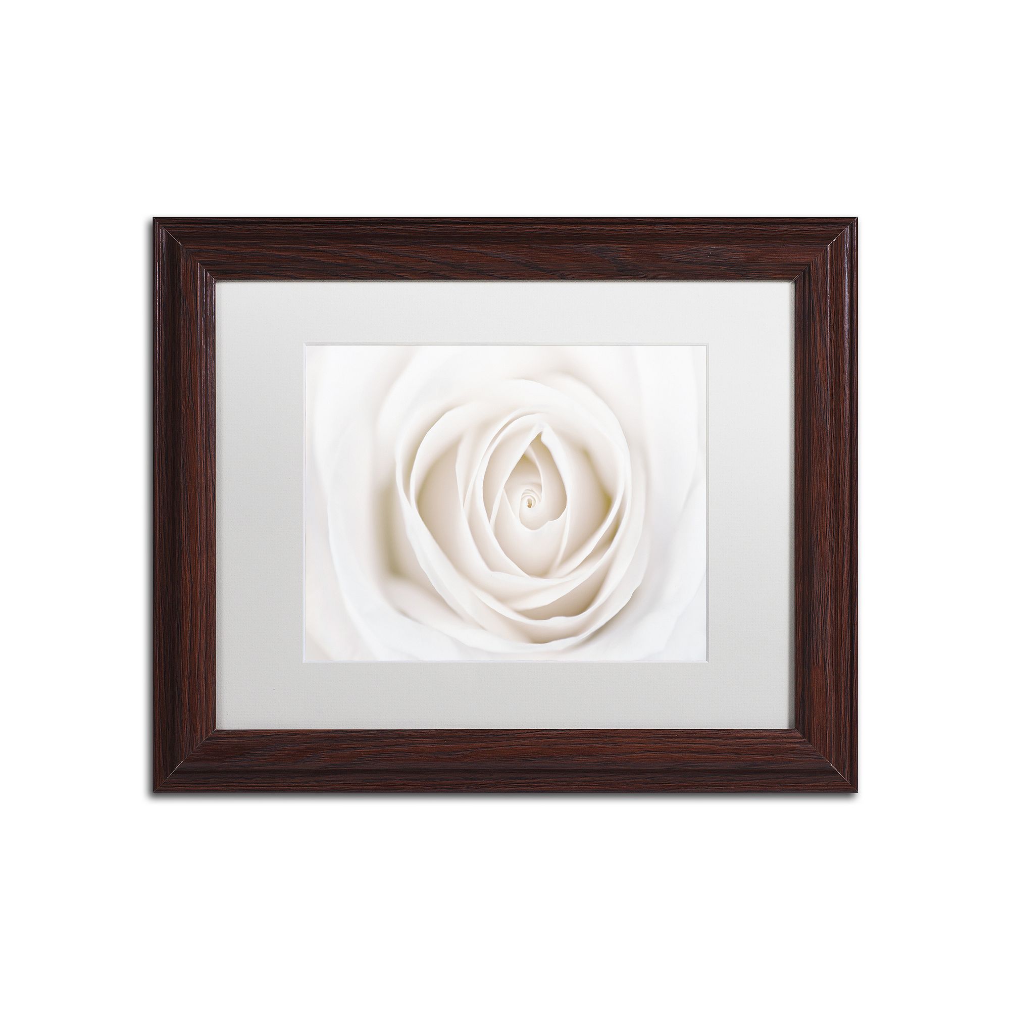 Cora Niele White Rose Matted Framed Wall Art, Wood Frame Whte Mat