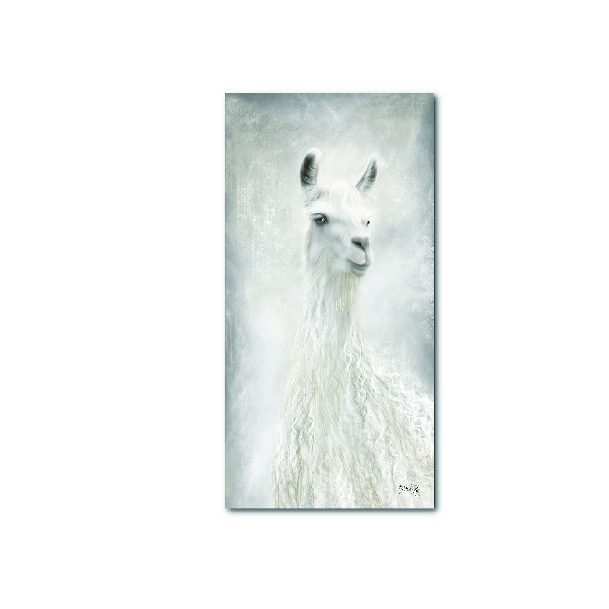 WEB-AM160-12X24 COURTSIDE MARKET Llama Canvas Wall Art, Multi sku WEB-AM160-12X24