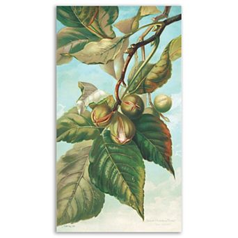 COURTSIDE MARKET Tree Branch With Fruit I Canvas Wall Art