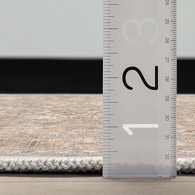 Well Woven Apollo Antigua Vintage Faded Area Rug