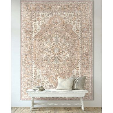 Well Woven Apollo Antigua Vintage Faded Area Rug