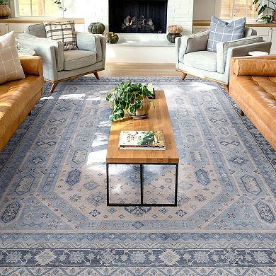 Well Woven Apollo Nicosia Vintage Faded Medallion Area Rug
