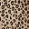 Classic Leopard