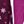 Dark Berry Snowflake