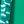 Tropical Emerald Cat