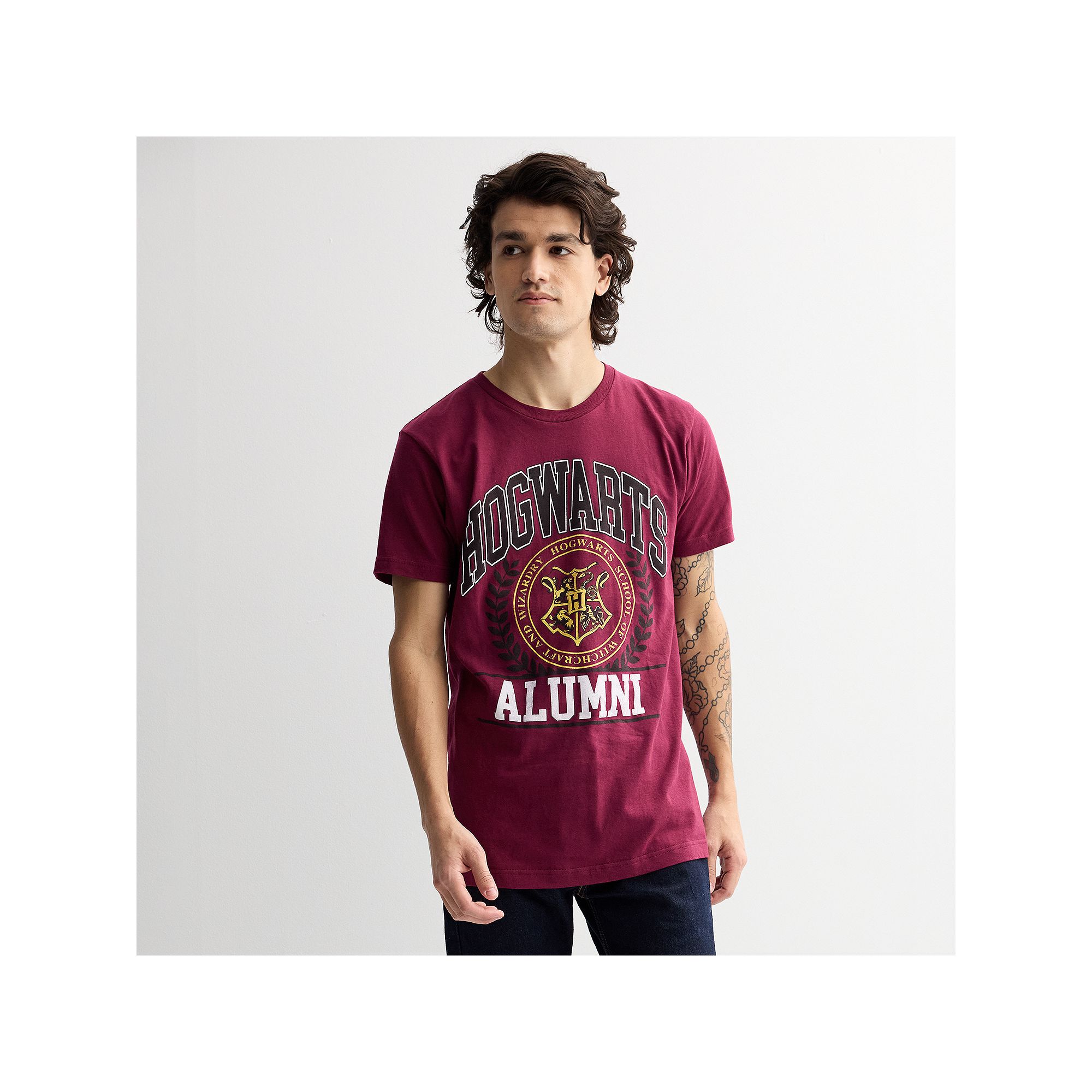 Mens Bioworld Harry Potter Hogwarts Alumni Shield Graphic Tee, Size: Large