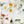Chintz Floral Stripe