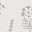 Botany Floral Lt Gray