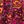 Black Raspberry Sorbet