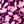 Dark Berry Foliage