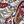 Multi Paisley