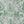 Tropical Green