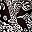 Black Ivory Paisley