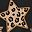 Classic Leopard