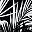 Black White Tropical