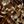 Brown Textured Floral