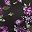 Purple Rose Floral