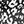 Black White Cheetah