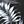 Black Grey Palms