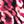 Black Pink Animal