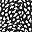 Black White Abstract