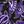 Violet Floral Paisley