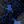 Vivid Blue Lace